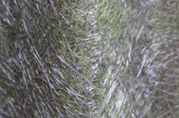 Aberdour fibreglass roof work